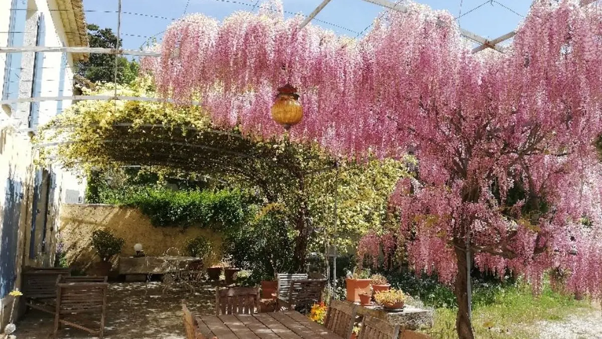 Chambres d'hôtes Au Mas de la Menouille à Saint-Rémy-de-Provence