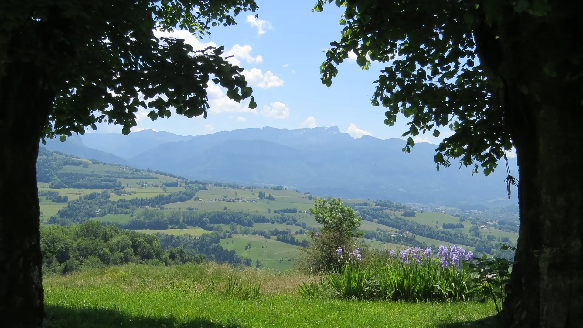 La vue depuis le domaine