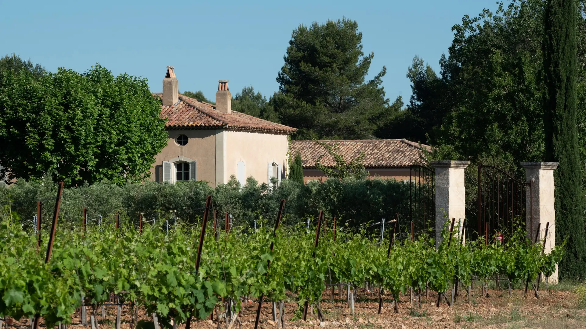 Domaine d'Eole, vignoble à Eygalières