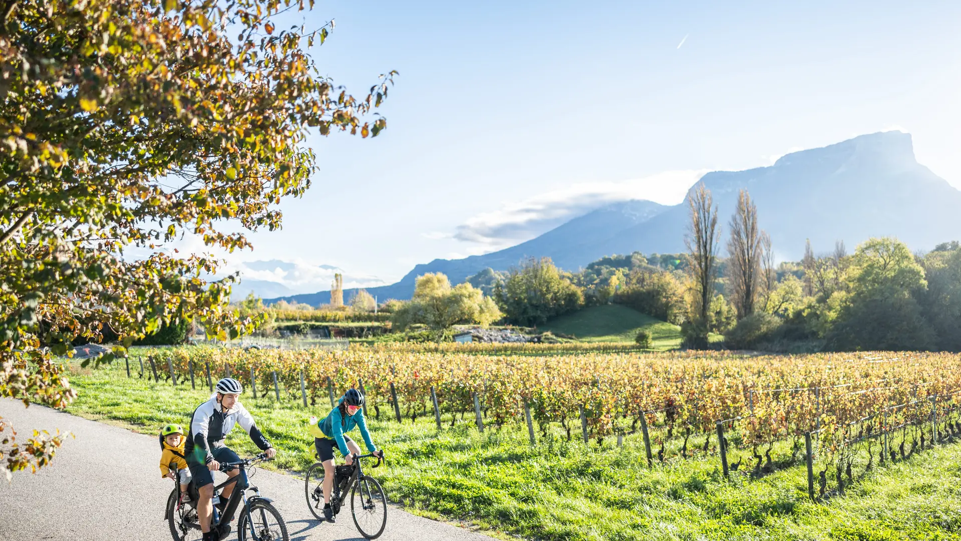 Vignobles du Coeur de Savoie