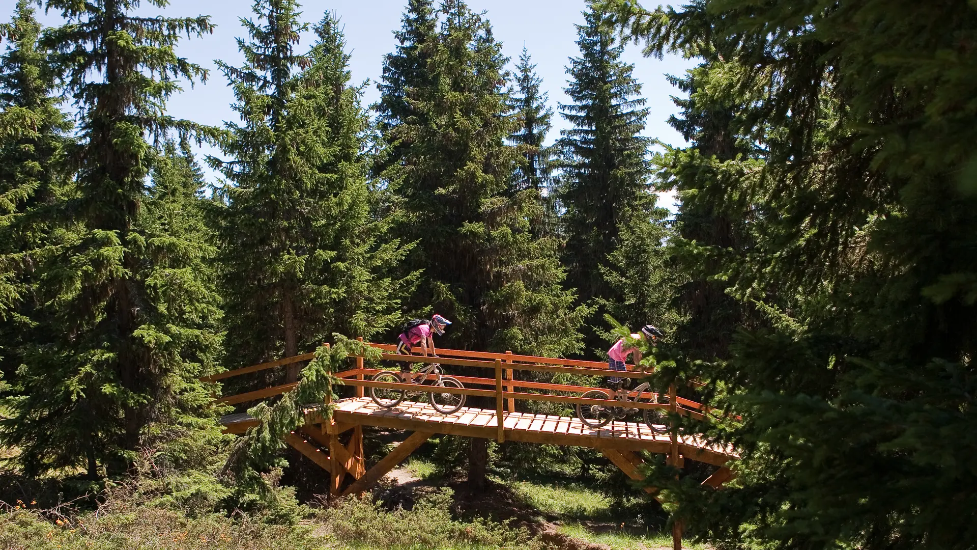 DH VTT Dré dans l'pentu