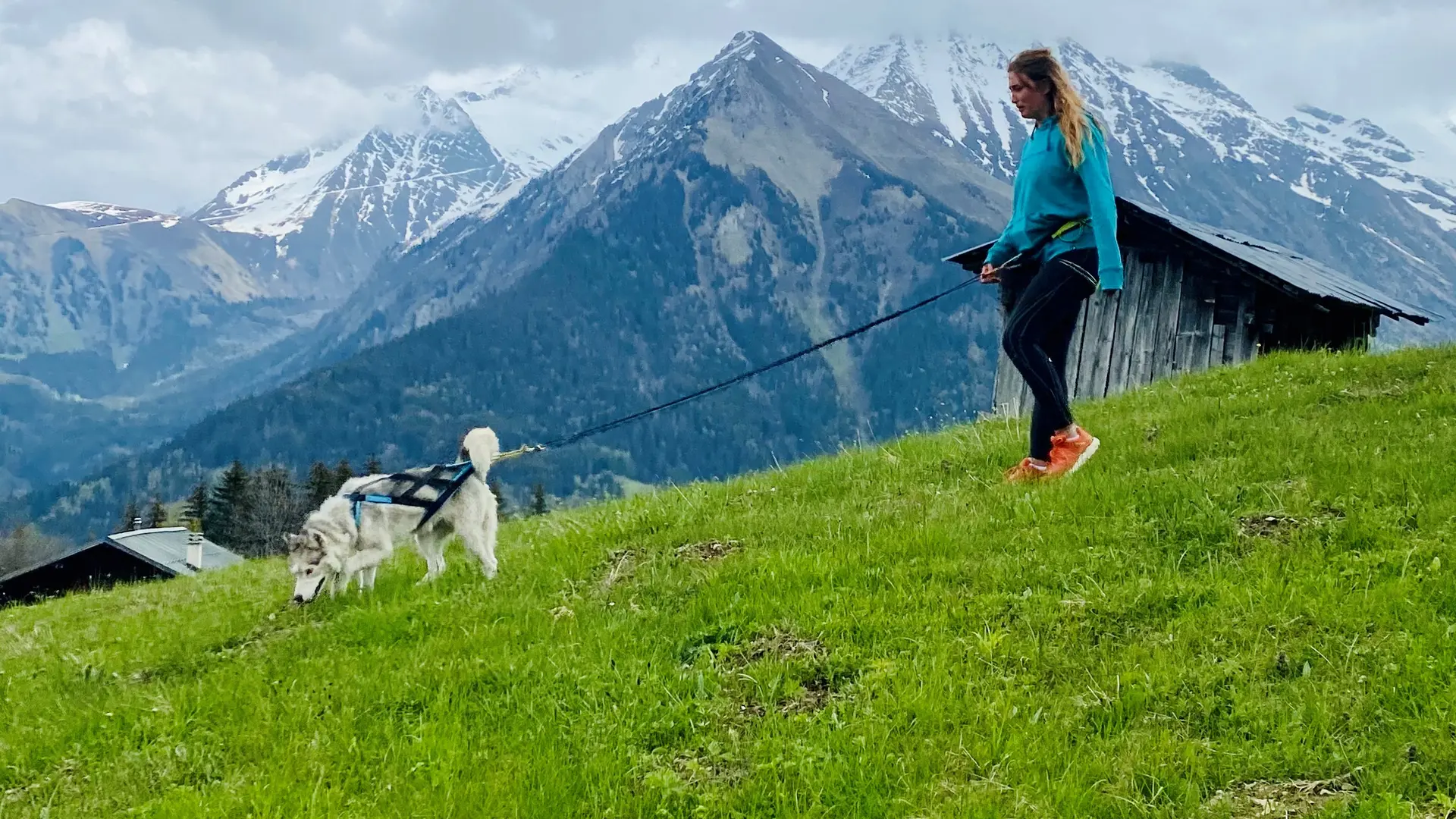 Balade avec un Husky