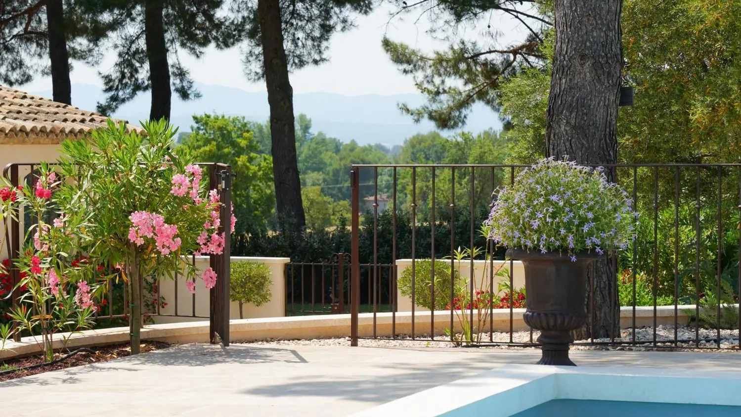 Vue sur la chaine de l'étoile