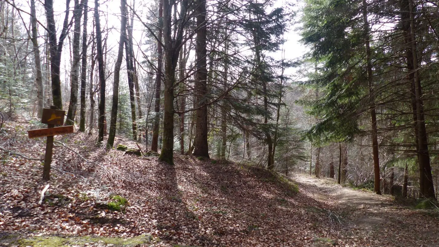 Sentier du Moulin