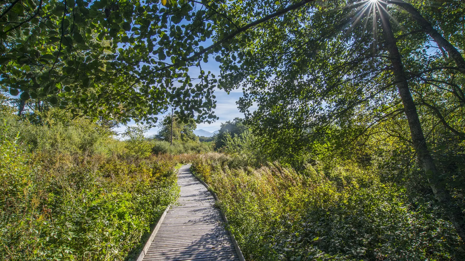 Géosite du marais du Maravant - Géoparc mondial UNESCO du Chablais