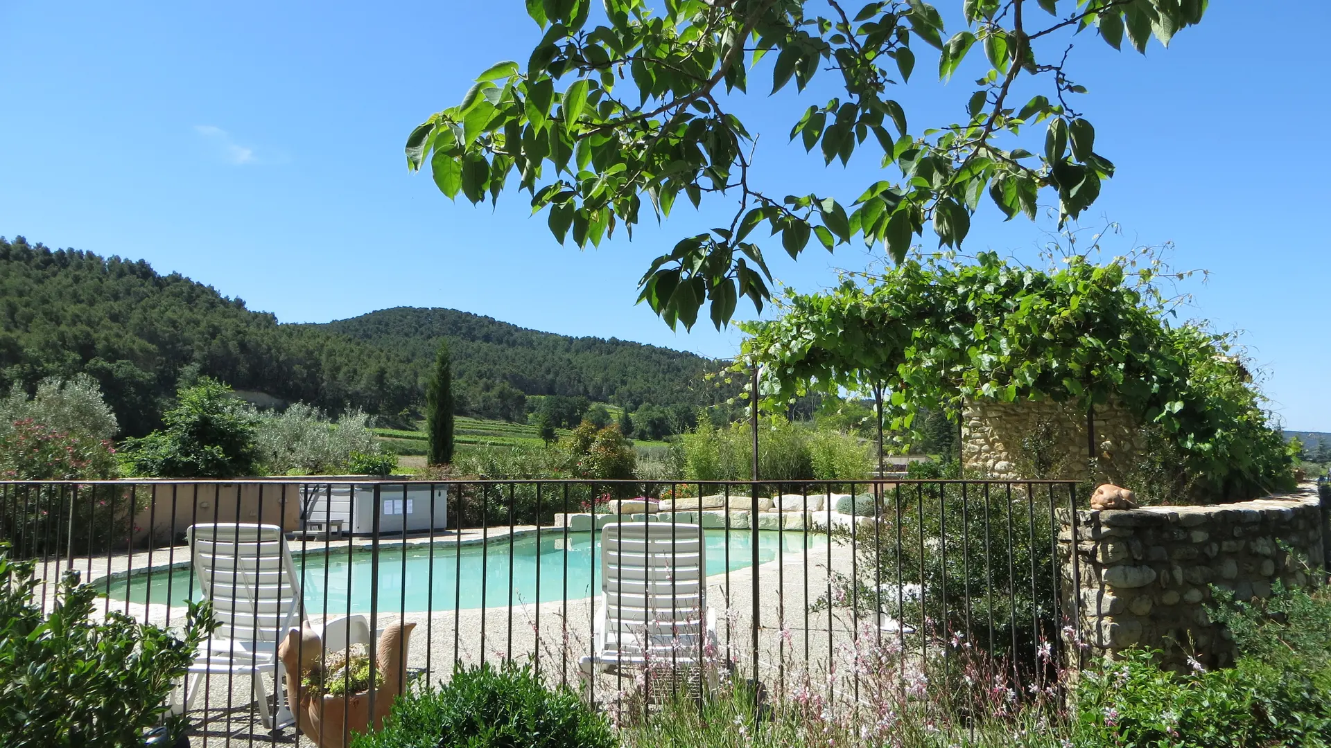 Piscine sécurisée avec vue la forêt