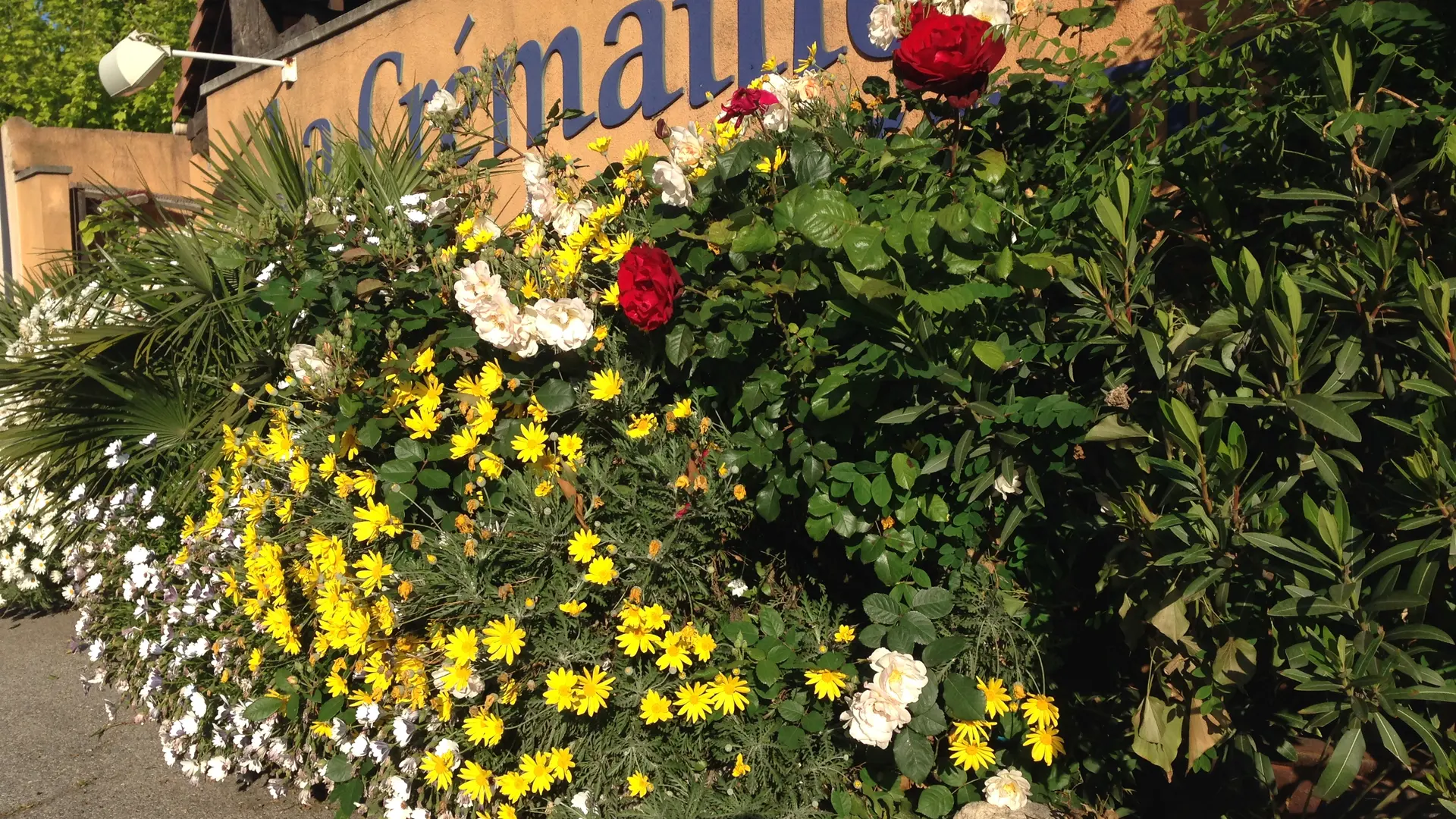 Façade en fleurs