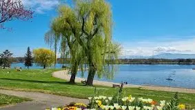 Lac de Divonne-les-bains