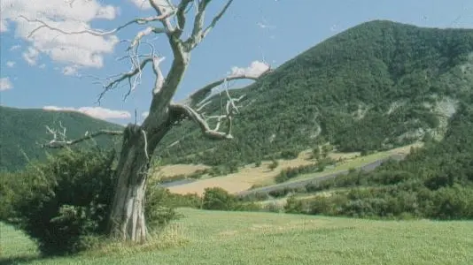paysage