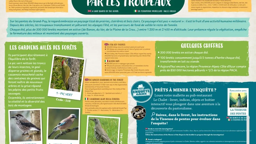 Enquête Game_le chalet_Seyne