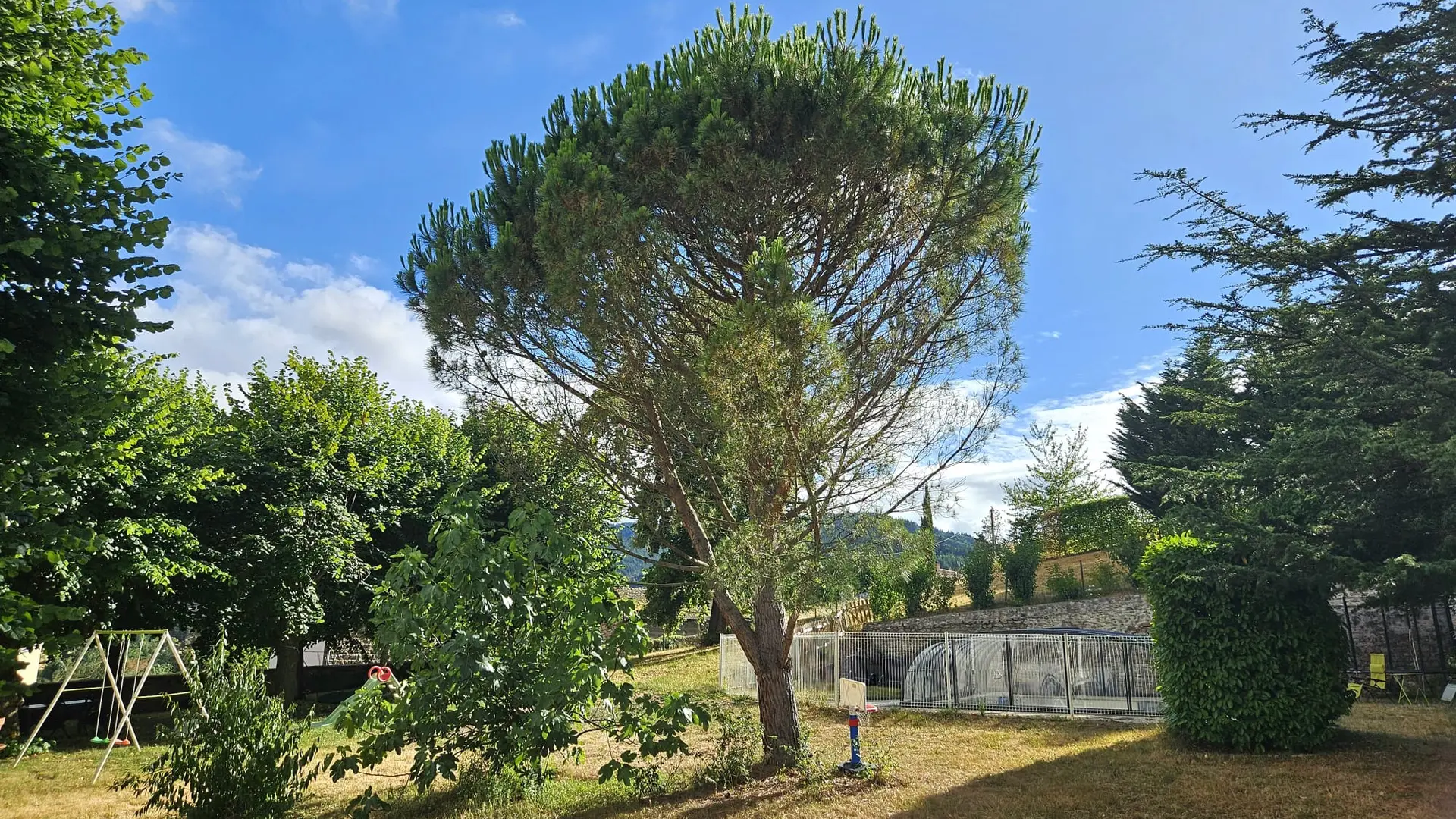 Vue depuis la chambre Pin Parasol
