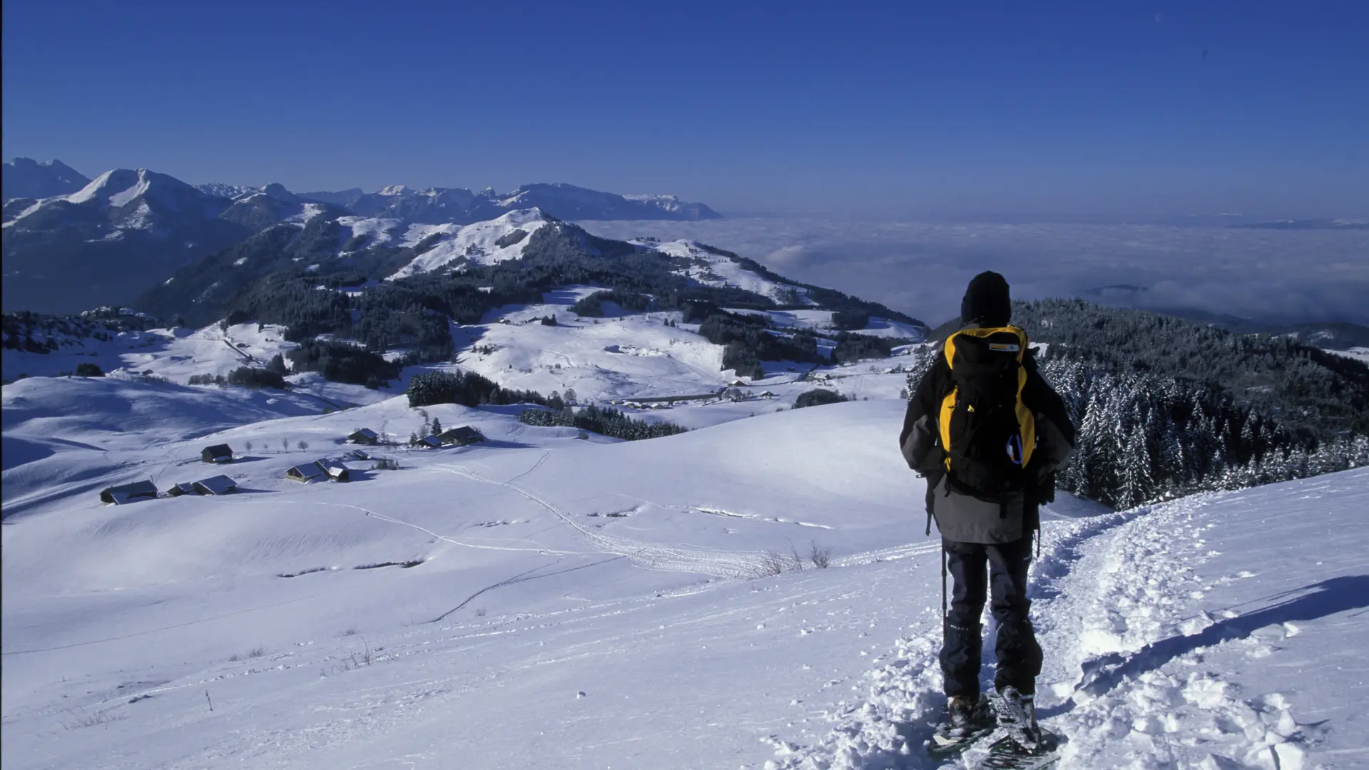 Randonnée raquettes face au Môle au Plateau de Plaine Joux
