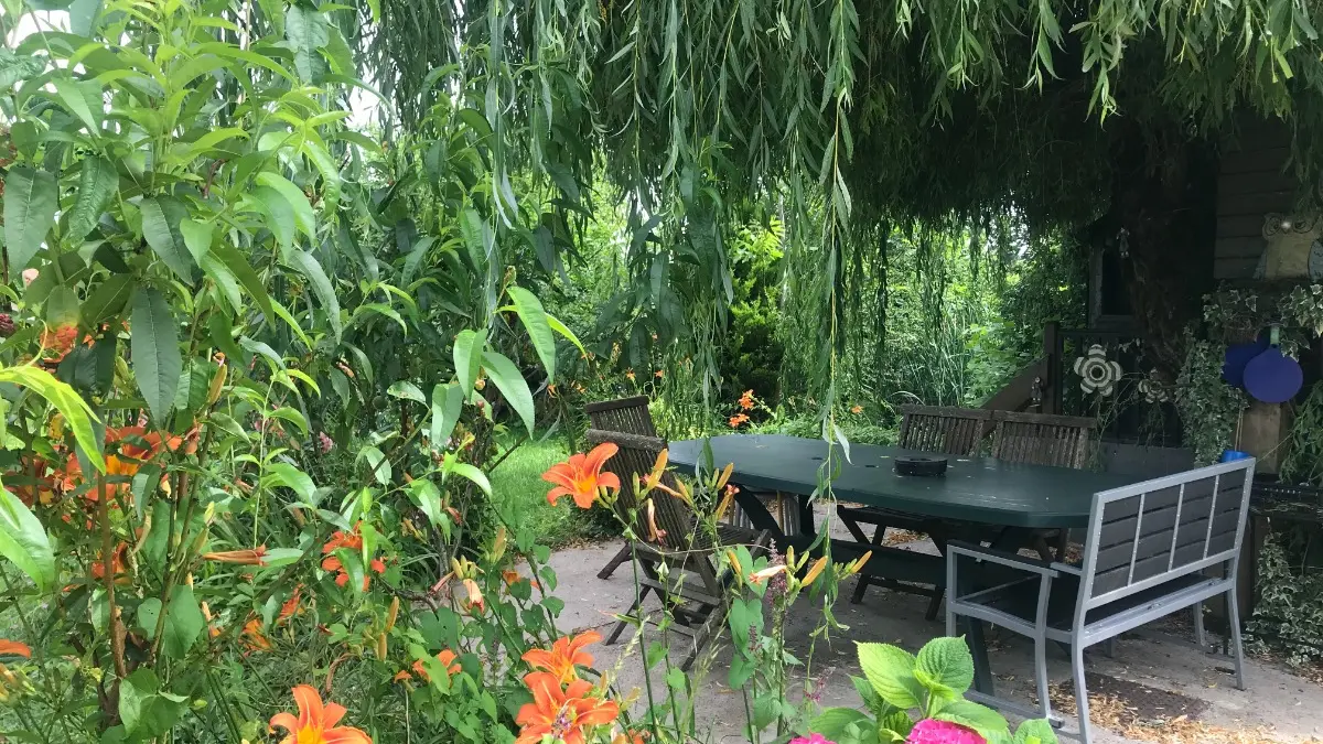 La terrasse extérieure, pour les barbecues.