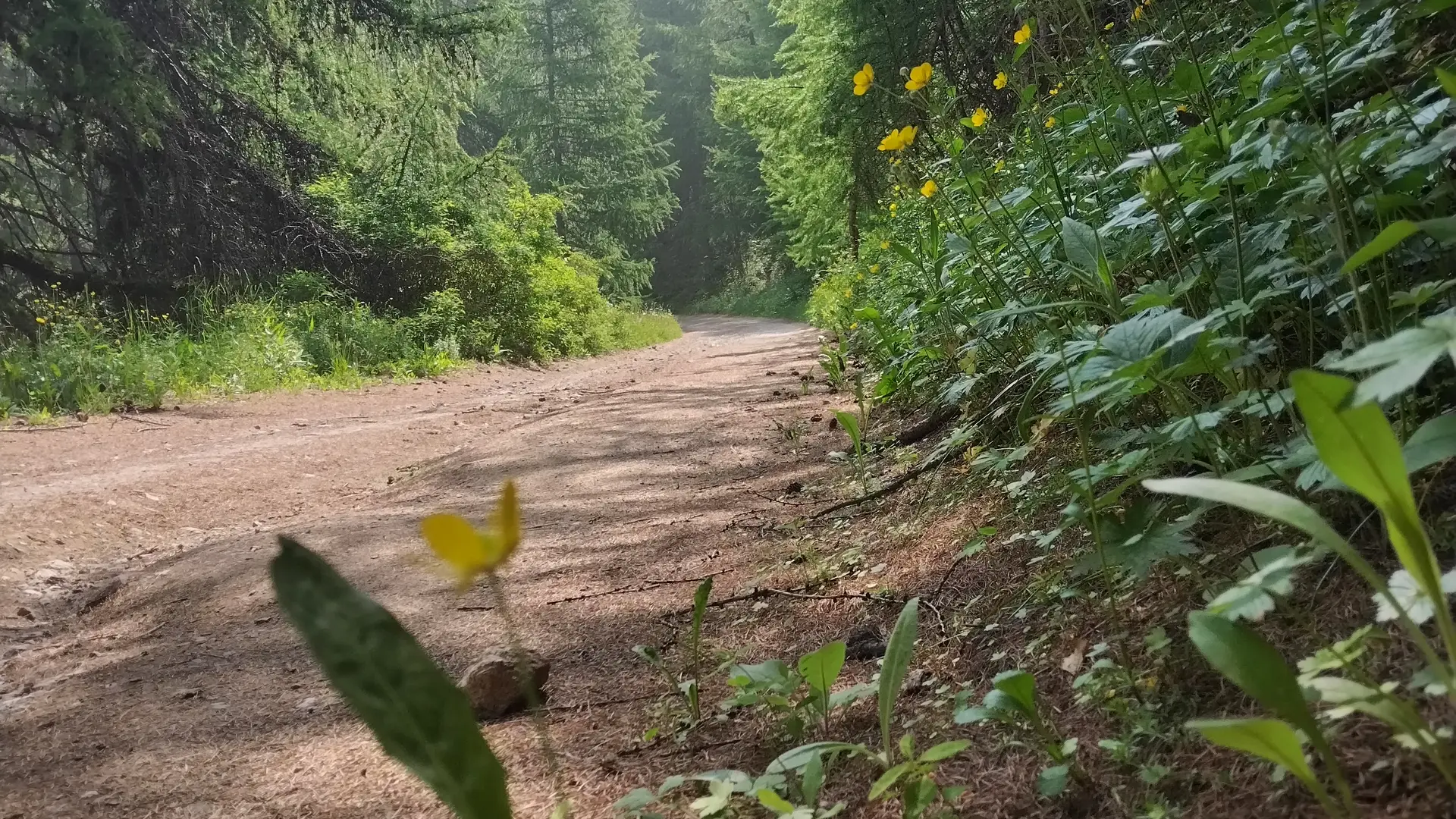 Piste large au dessus du Clos des Près