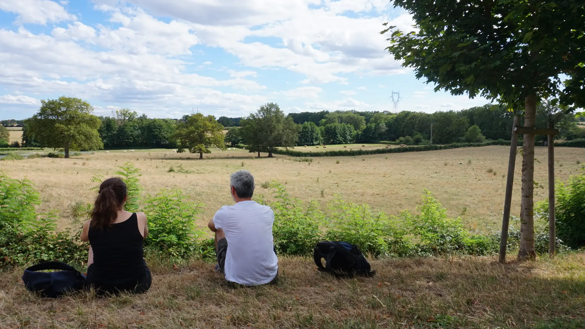 Couleuvre