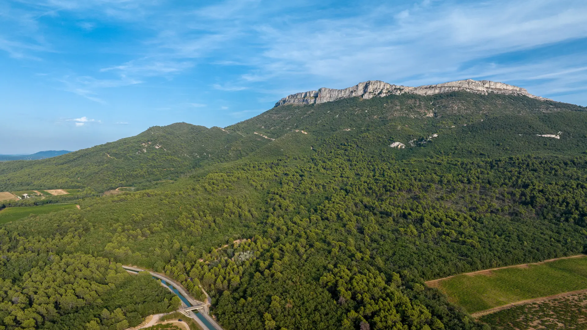 Mont Aurélien