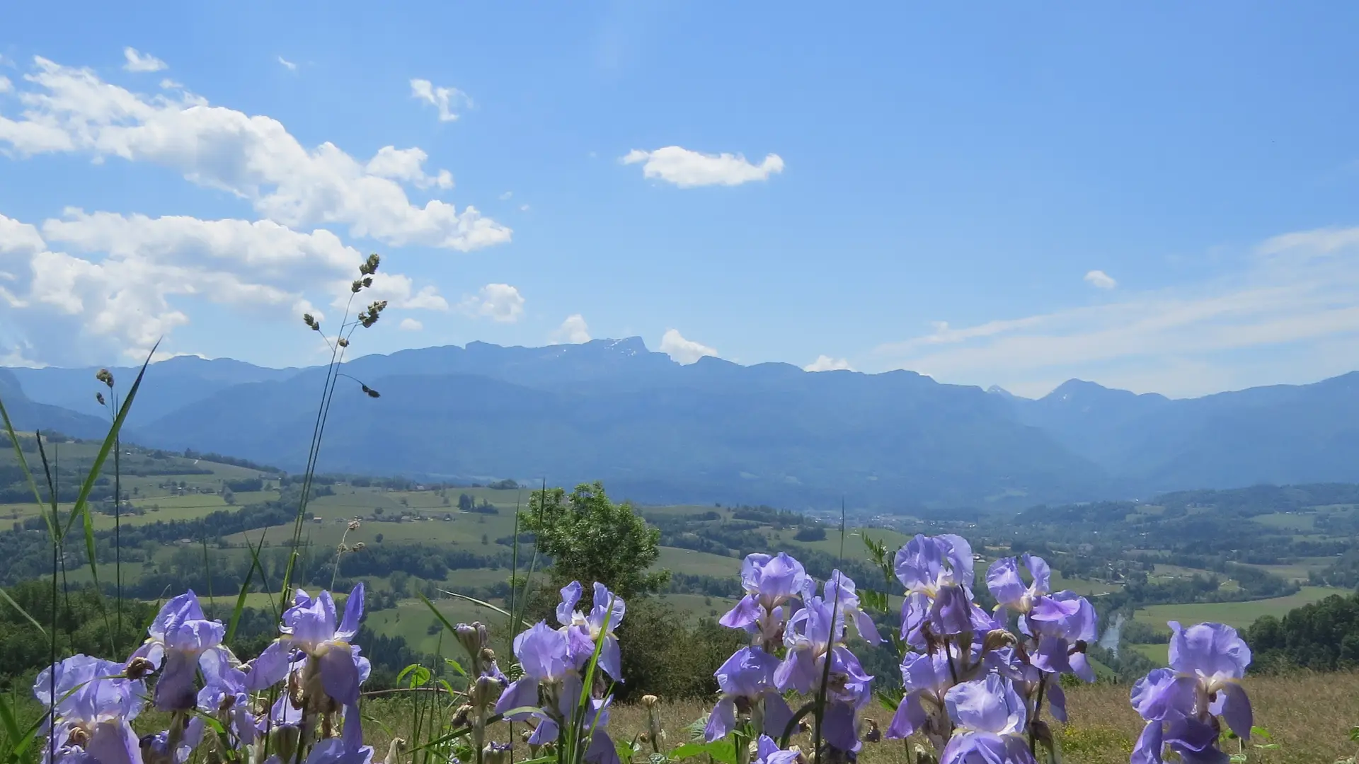 La vue depuis le domaine