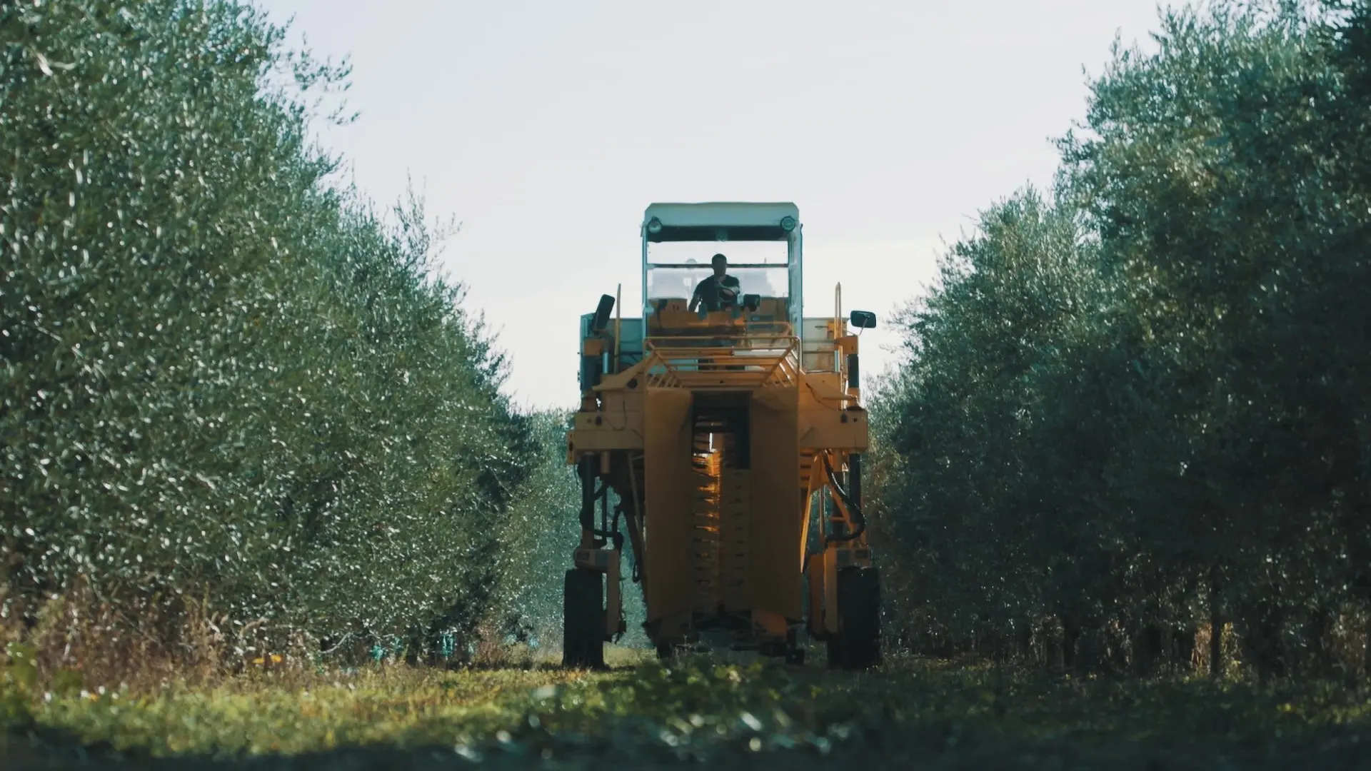 Le tracteur à récolte