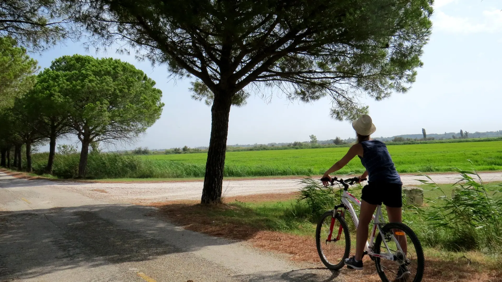 Cycliste devant une rizière