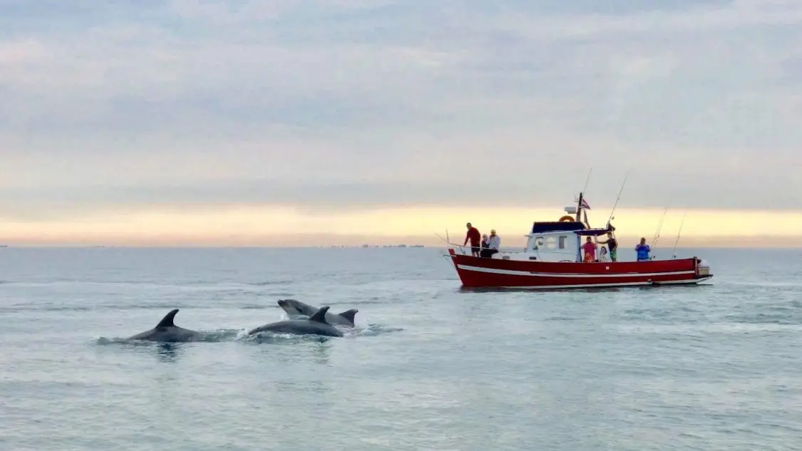 Sortie en mer