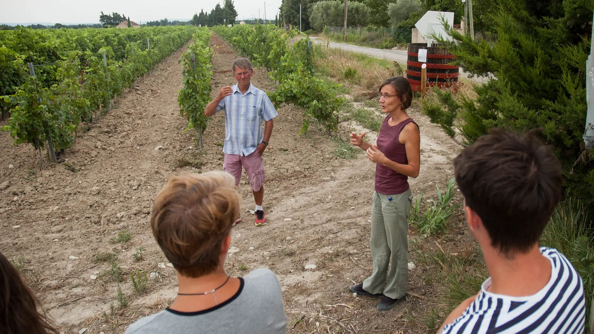 Camping des Favards vignes