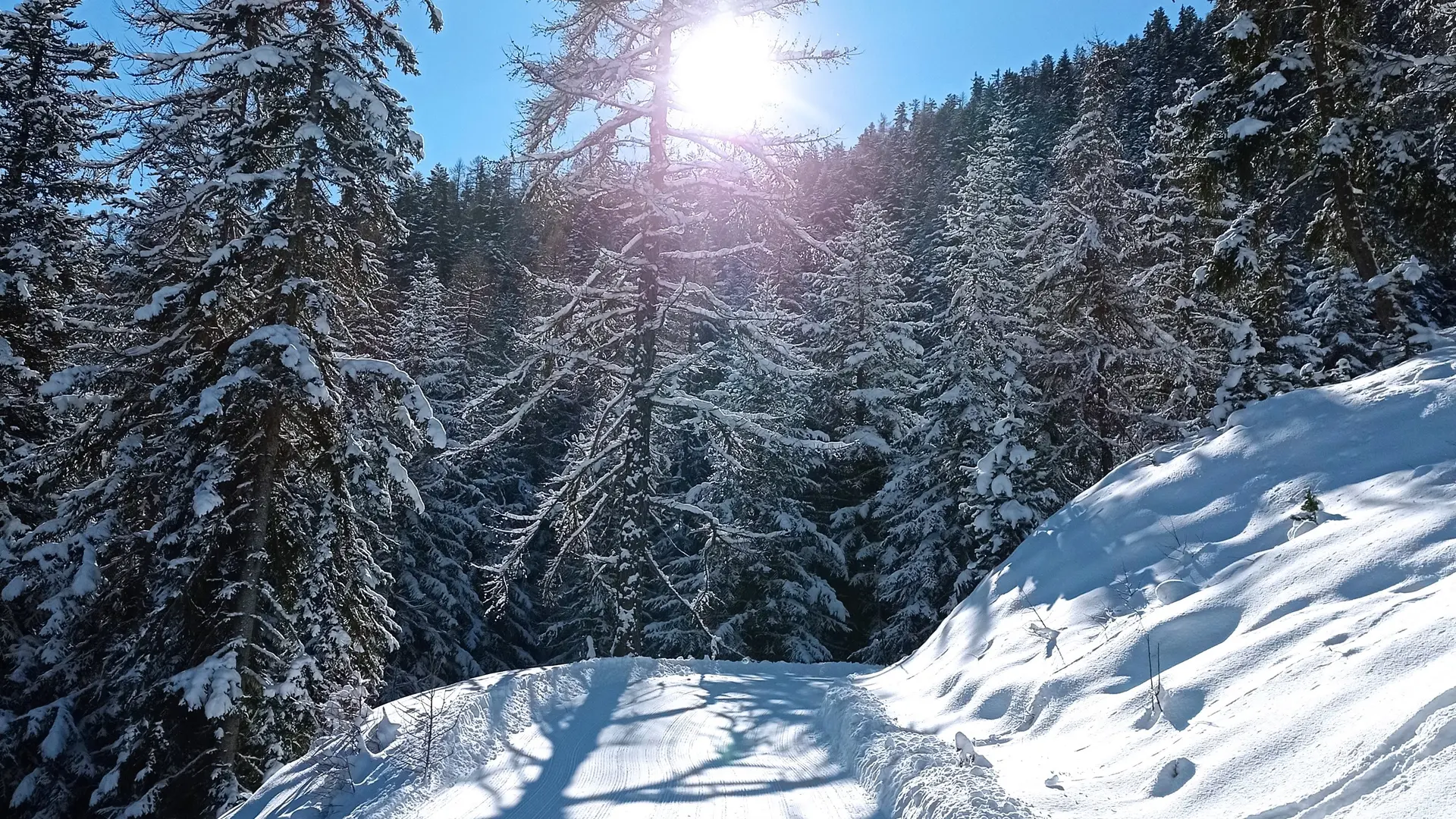 Névache - La Forestière