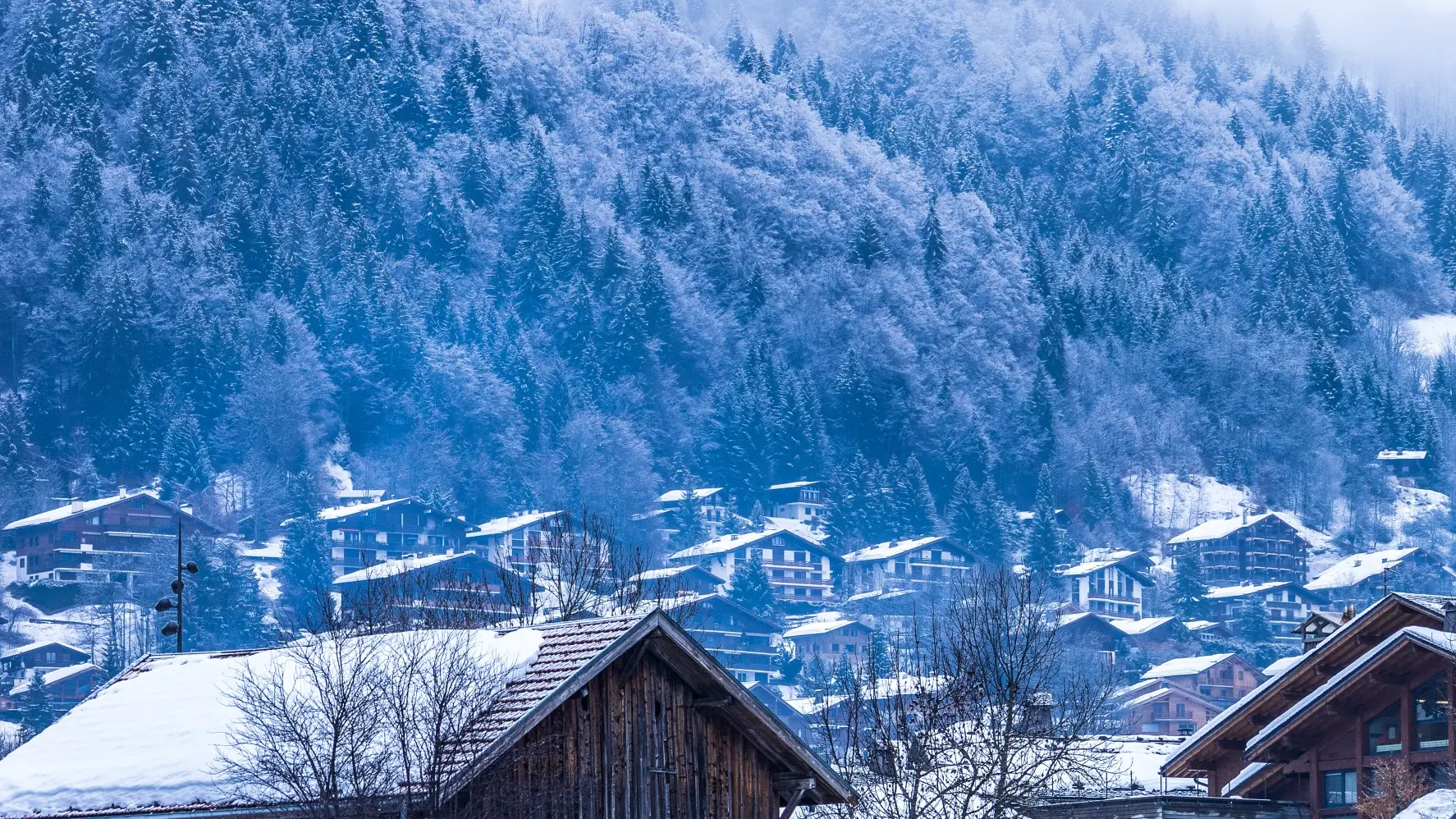 Balade en gyropode Segway
