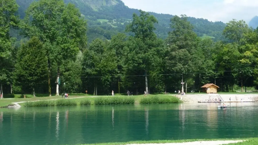 Lac Bleu , parc de loisirs à 400 mètres du gîte.Baignades surveillées , accrobranches, trampoline park , tennis , volley, équitation , poney club , jeux pour enfants , mini golf , pétanque ...départ de sentiers balisés pour pietons et v t t .