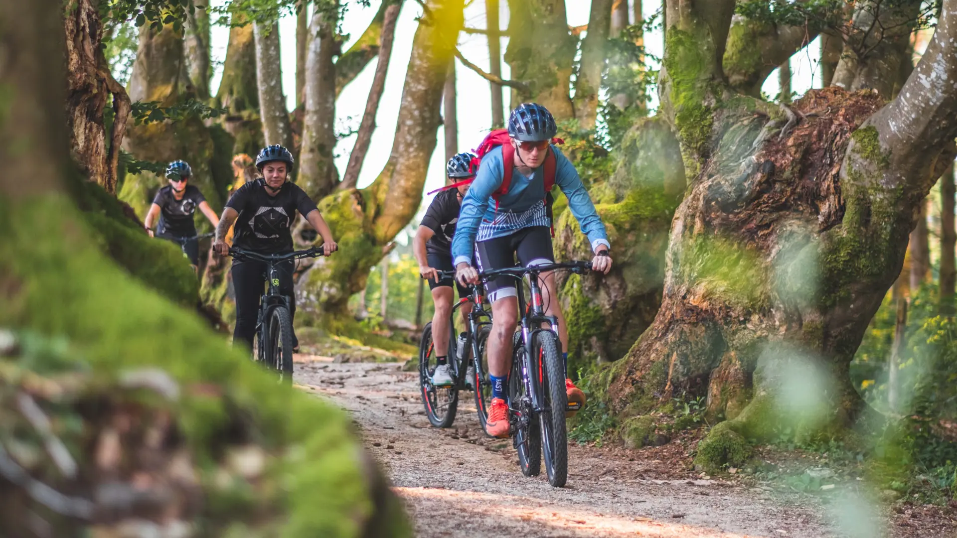 L'allée des géants à Saint-Nicolas-des-Biefs