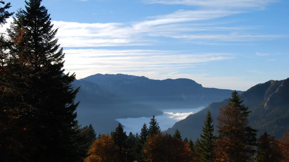 Vue de la cabane 