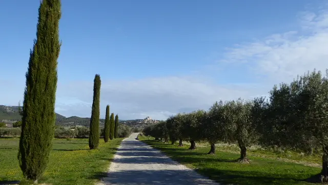 Paysage de Provence