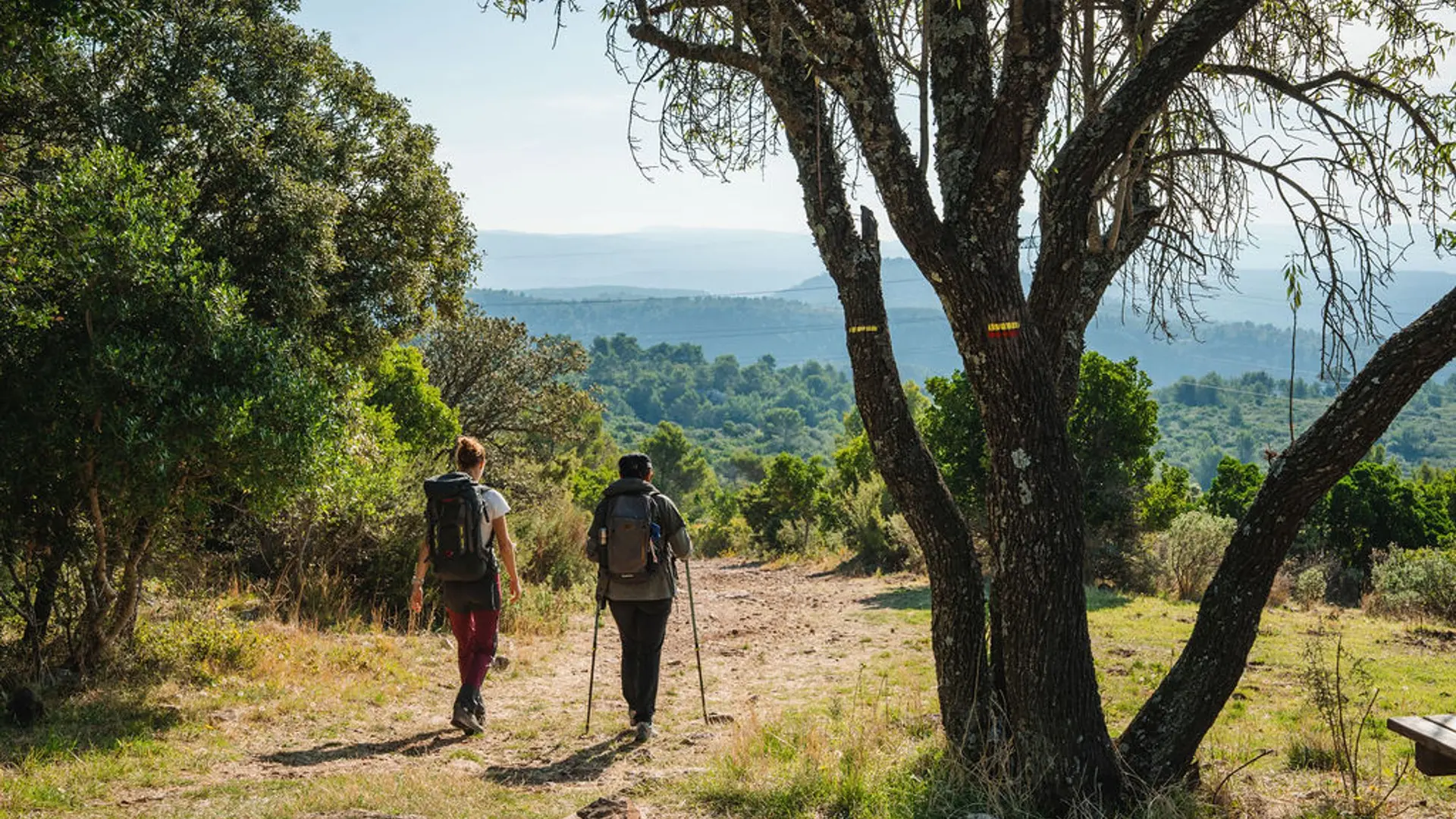 Balade dans la colline