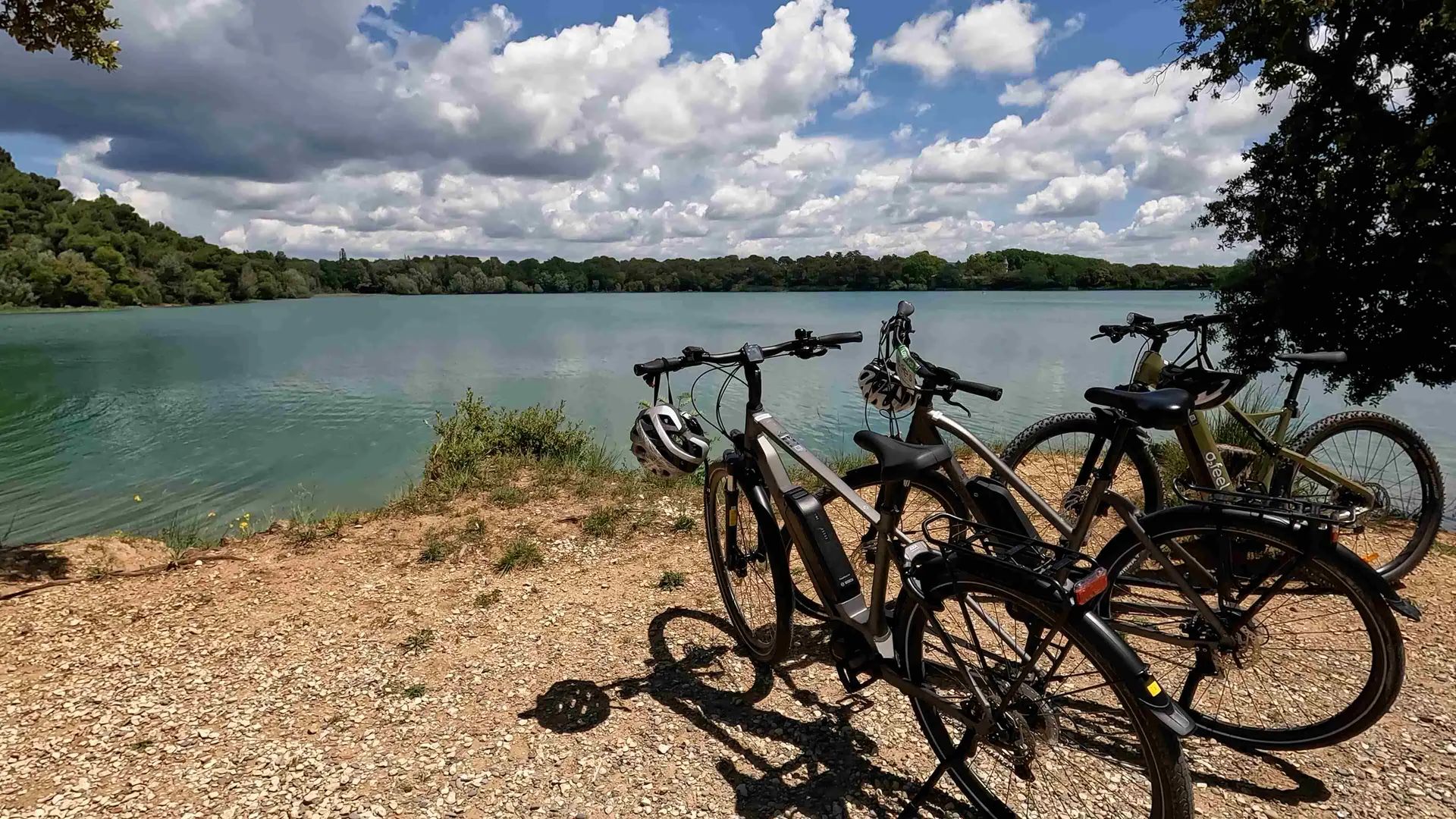 BEE'S LOCATION VELO 1/2 JOURNEE