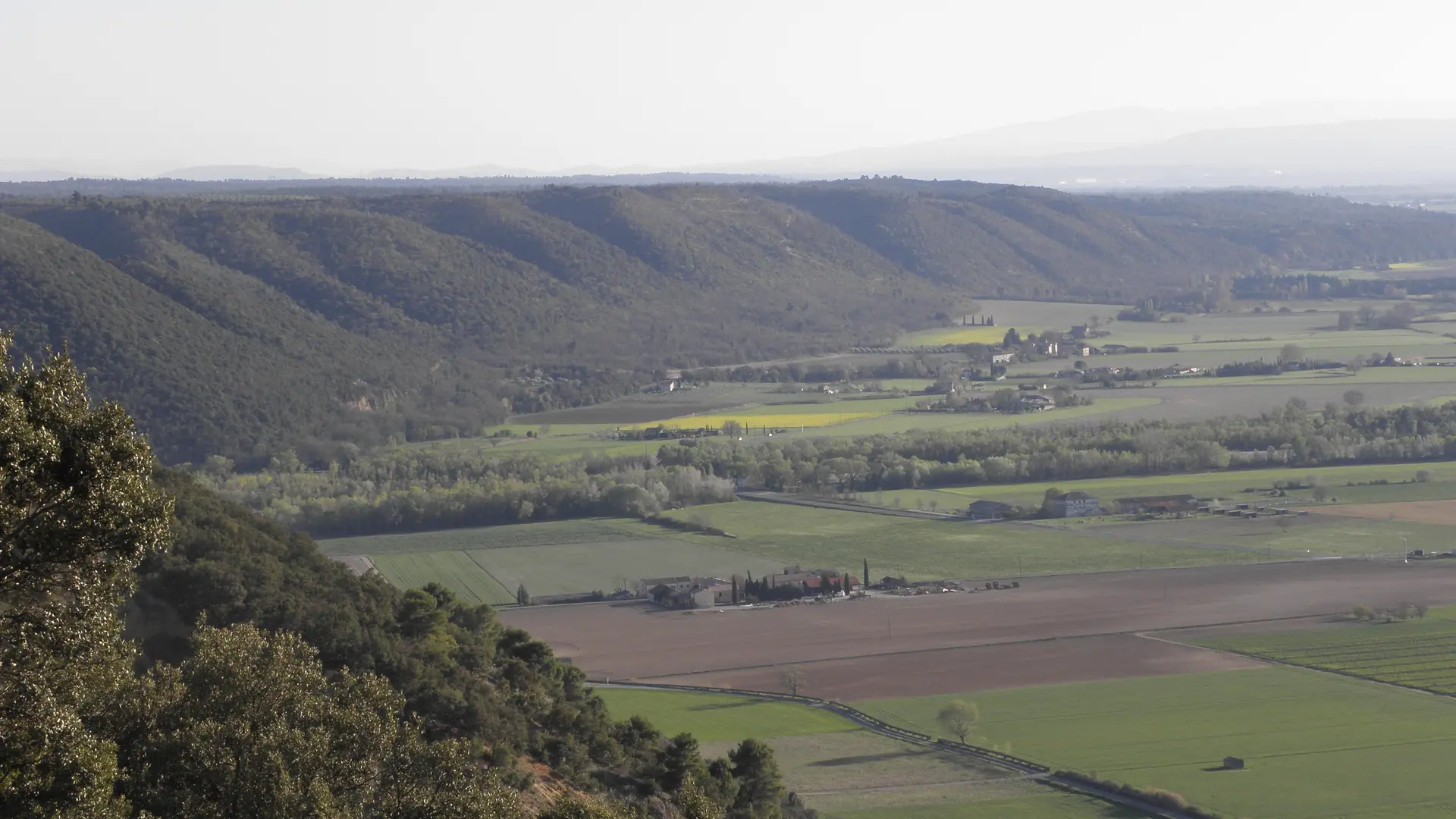Le Plateau de Valensole vue d'Oraison