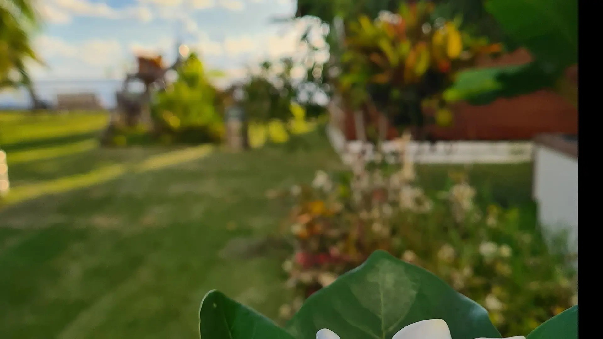 Jardin Taaroa Lodge avec ses bungalows