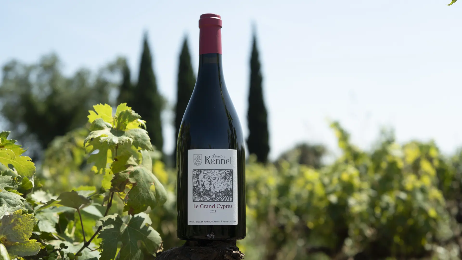 Domaine Kennel à Pierrefeu du Var