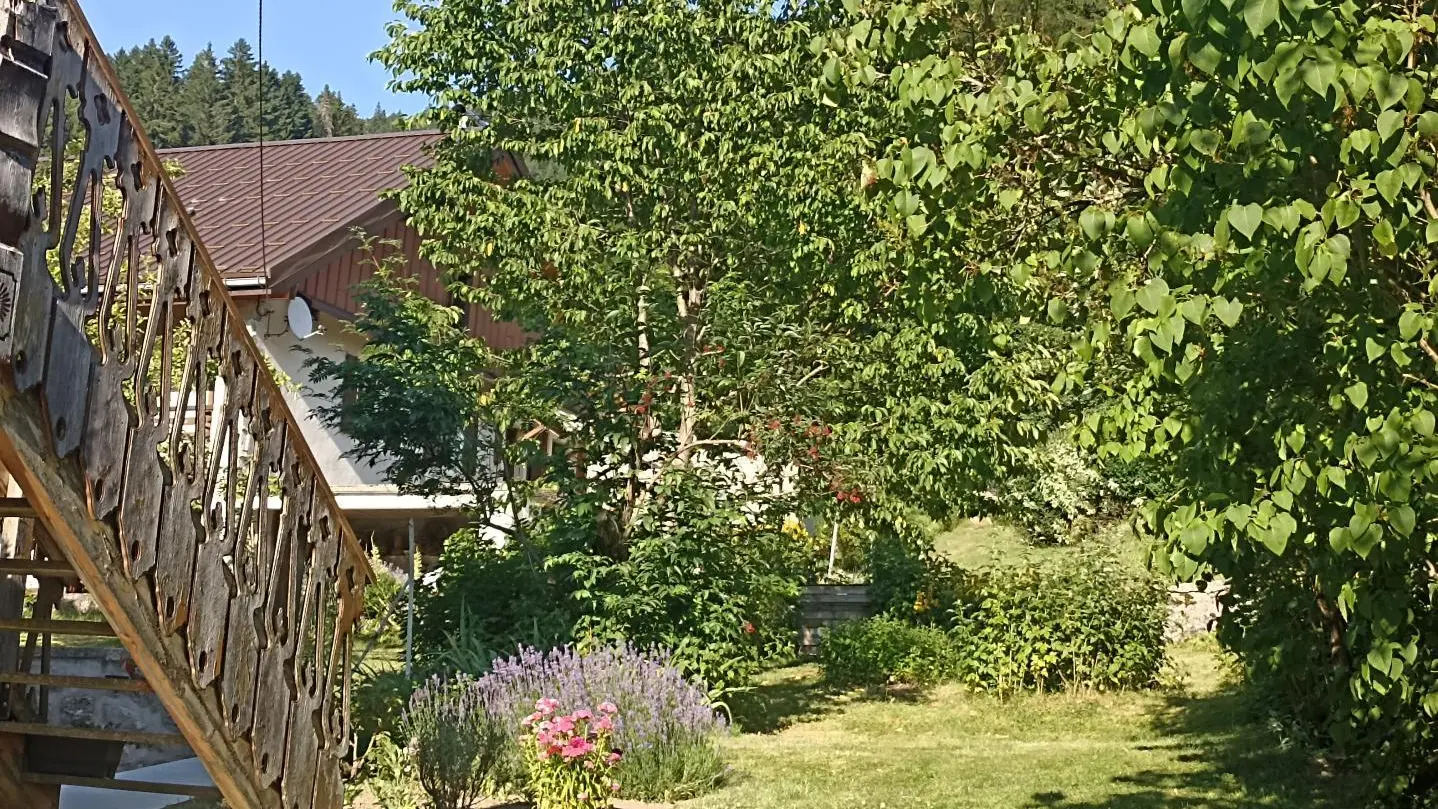 Au fond du jardin , côté montagne.