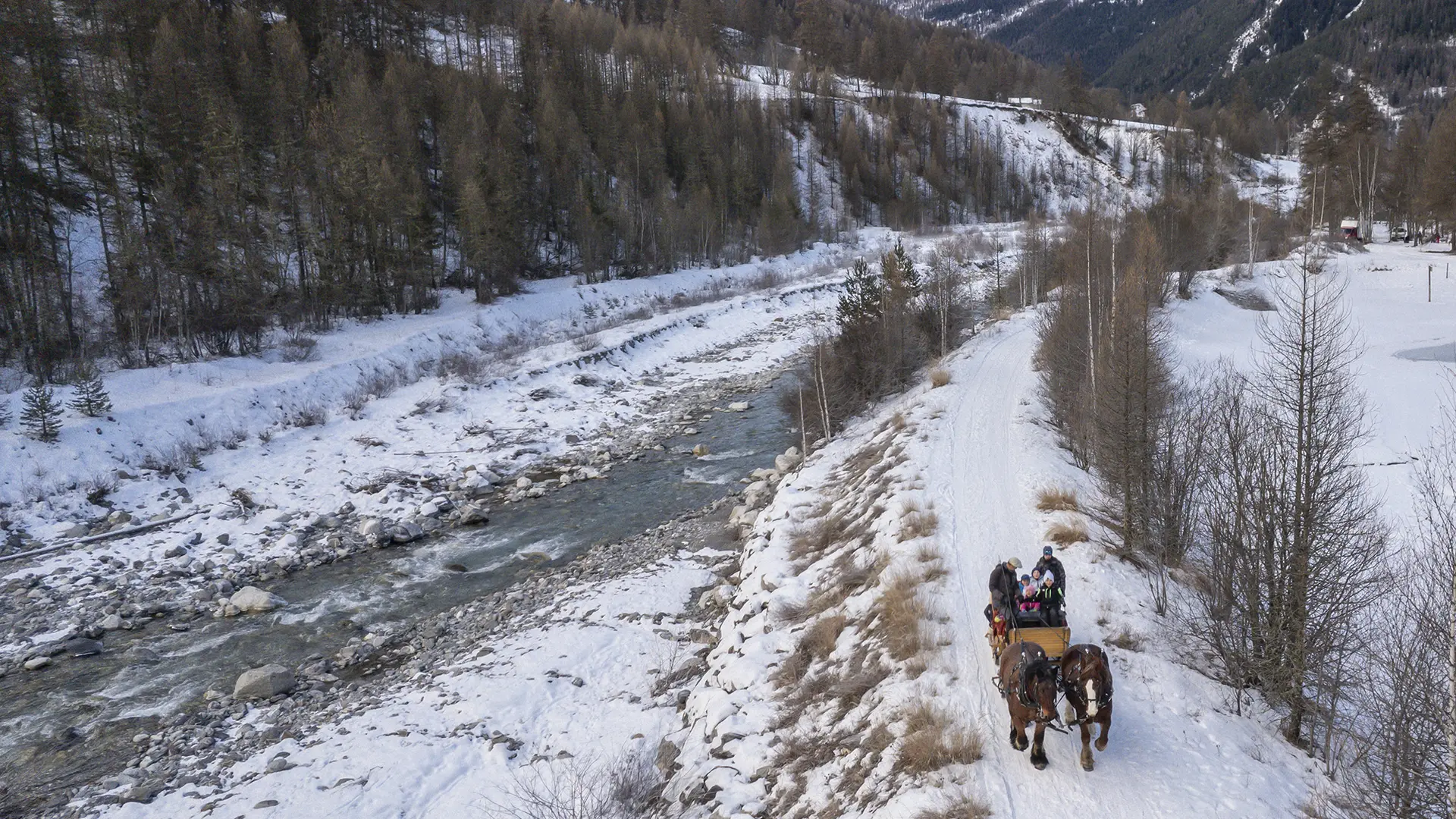 Provence Equiservices - Traîneau équin