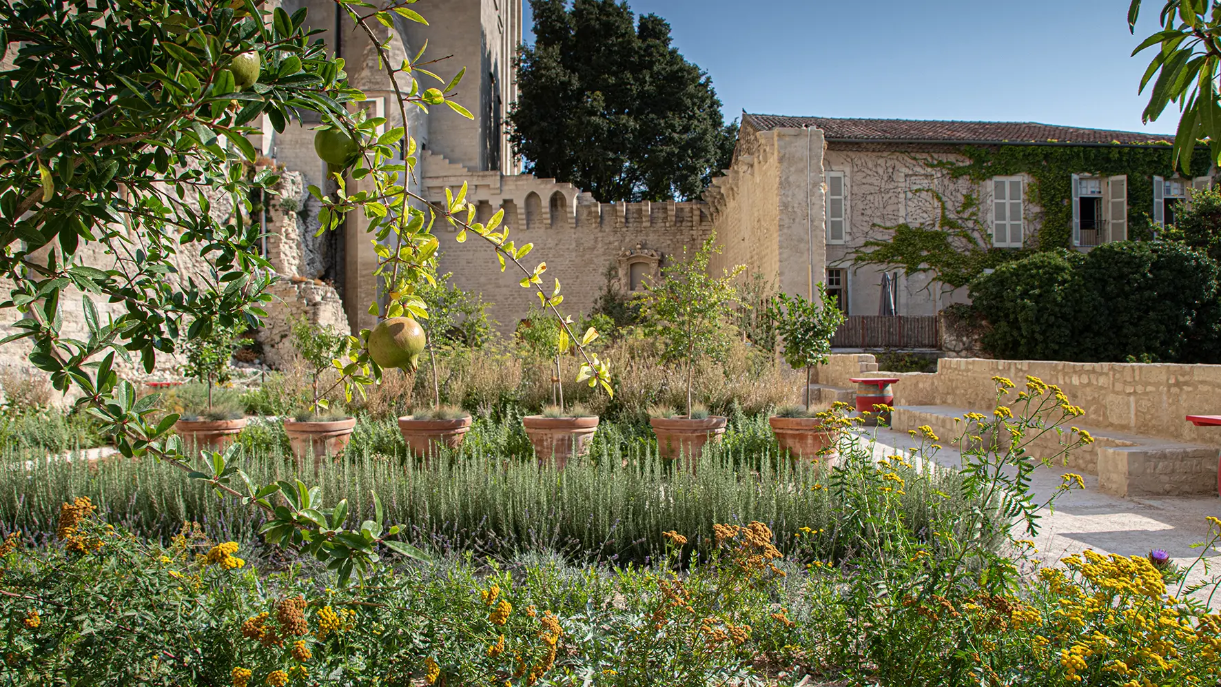 Jardins du Palais des papes