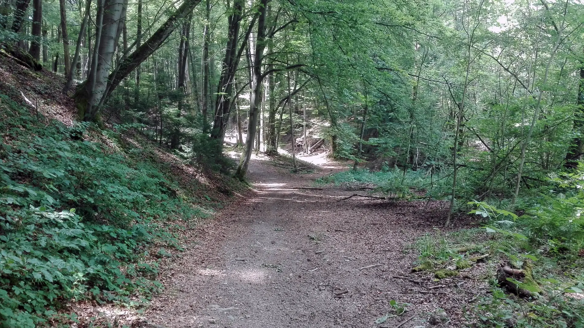 Sentier des Gures