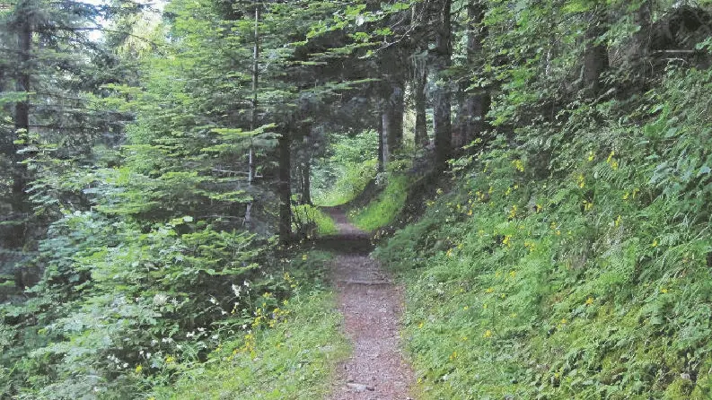 Circuit des gardes