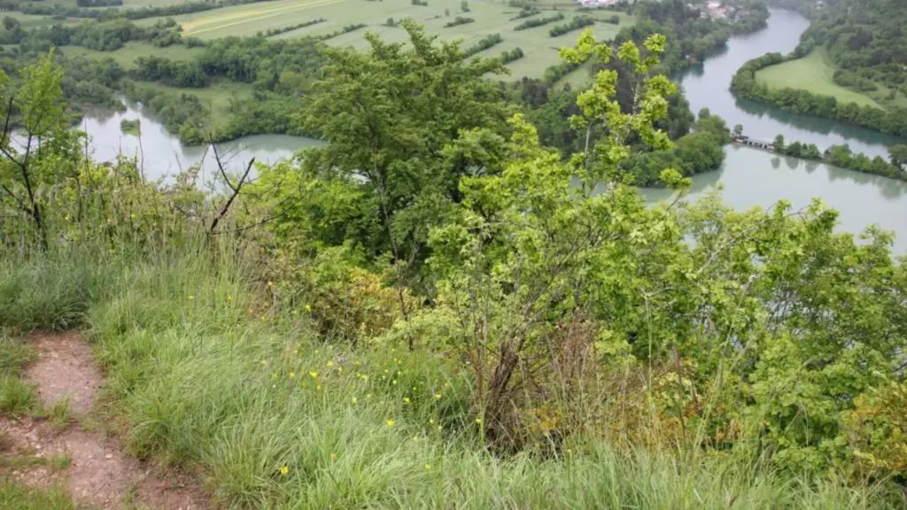 Point de vue de St Maurice d'échazeaux sur Conflans