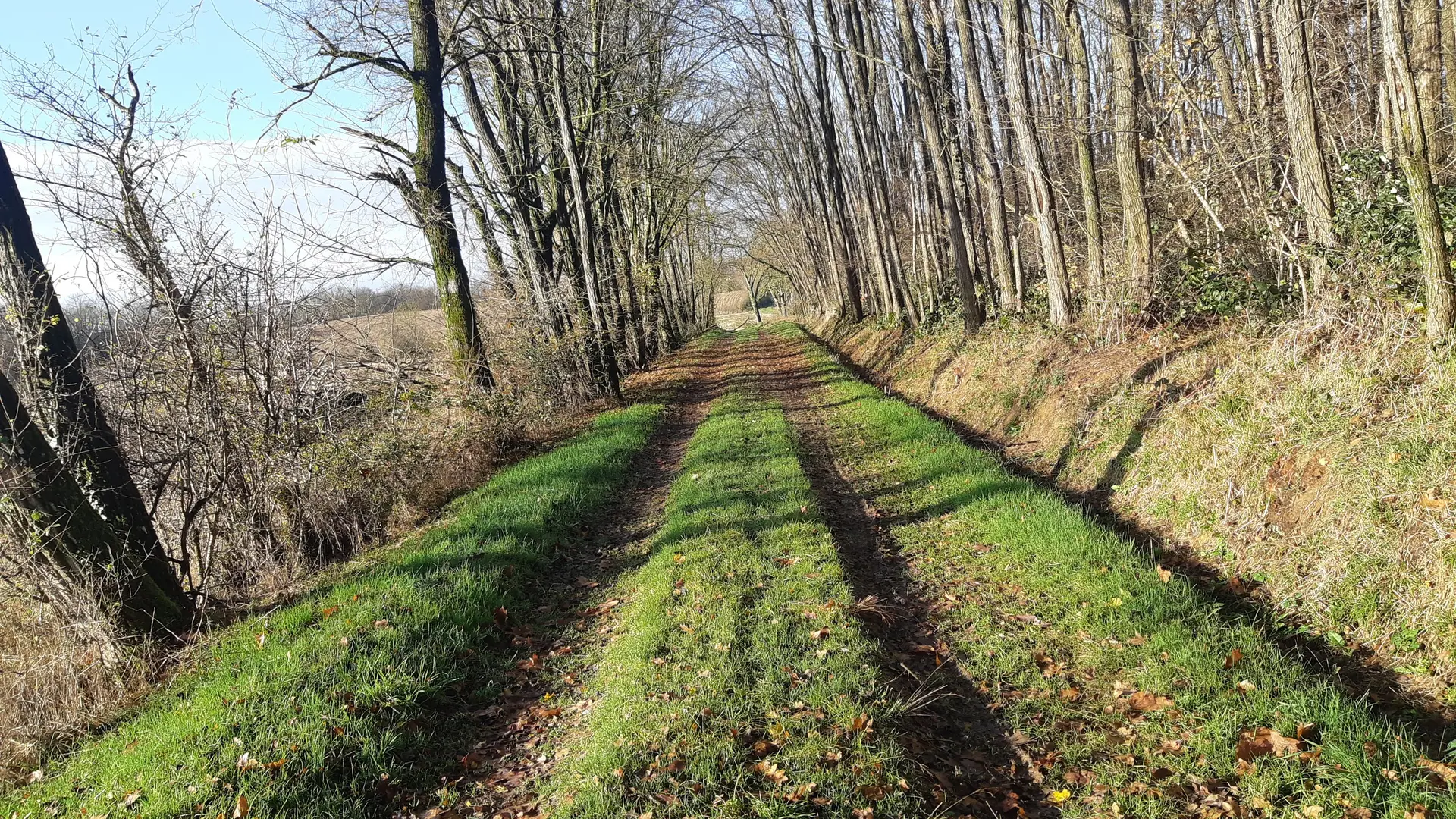 Sur les chemins de St Didier d'Aussiat