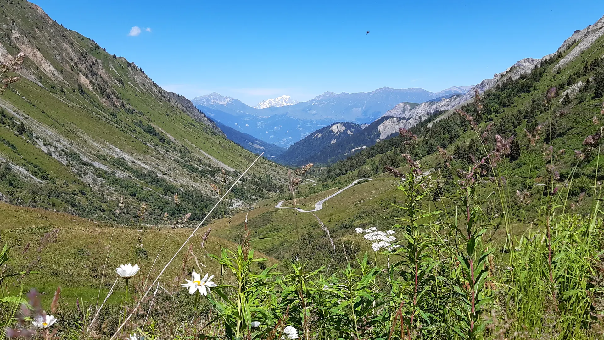 Vue sur le Mont Blanc