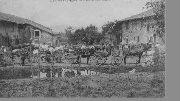 Carte postale ancienne représentant la ferme