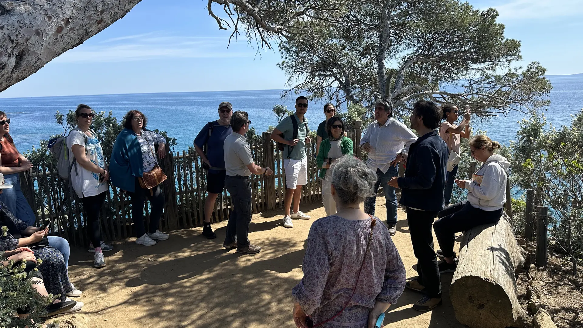 Formation Initiation à la botanique_Rayol-Canadel sur Mer