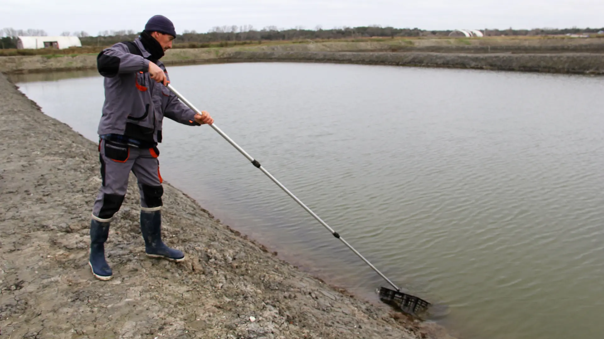 Pantano de la Ferme des Baleines