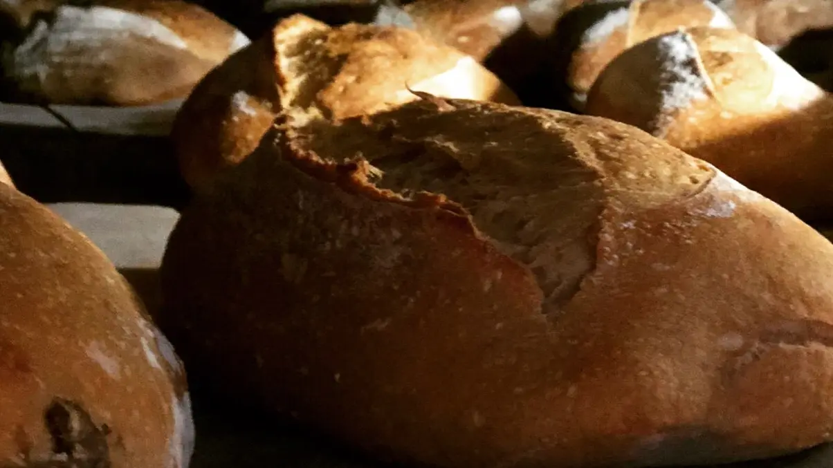 Boulangerie Terre & Blé à Saiint-Rémy-de-Provence