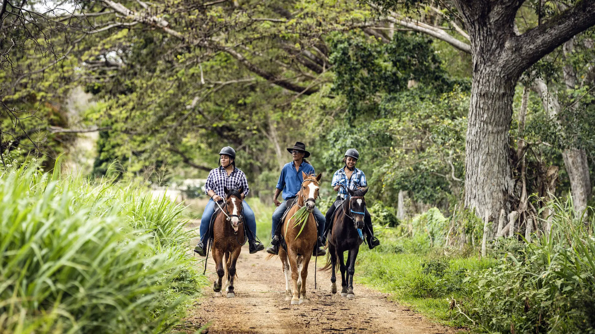 Balade à cheval