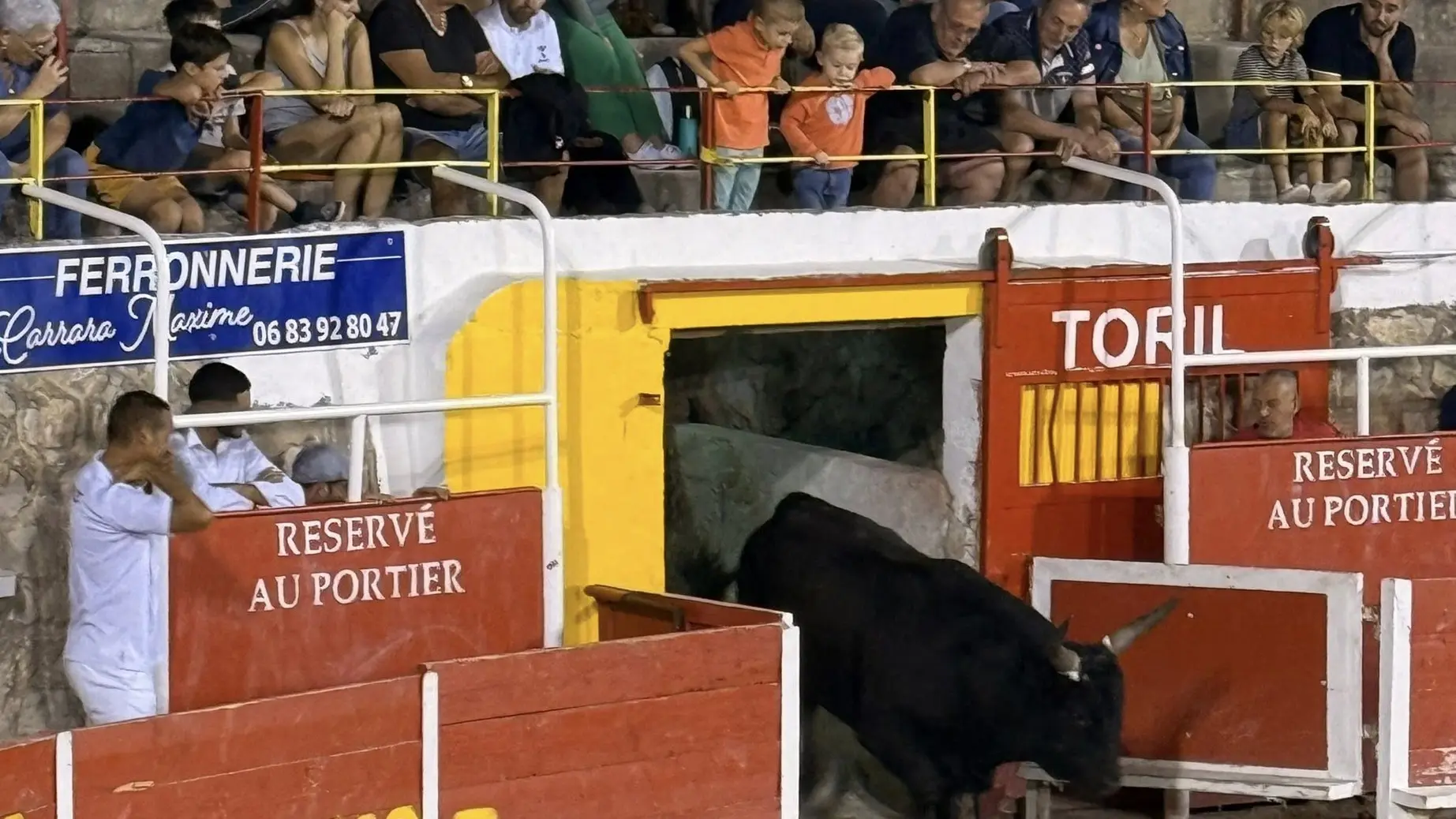 André Blanc Arena in Mouriès Stier, der aus dem Stierzwinger kommt
